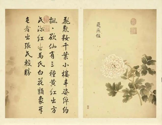 邹一桂：牡丹二十四品 名人名家 第55张