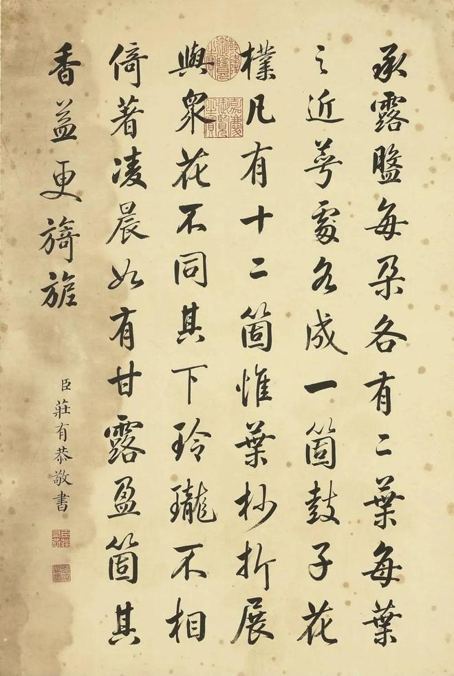 邹一桂：牡丹二十四品 名人名家 第71张