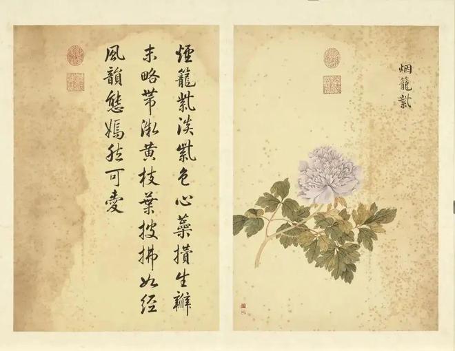 邹一桂：牡丹二十四品 名人名家 第37张
