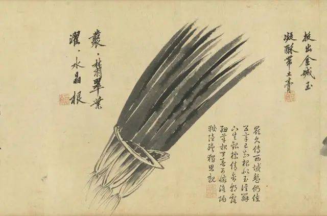 沈周：笔参造化，写生卷中见真章 名人名家 第12张