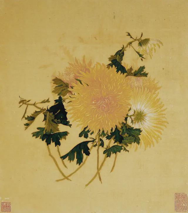 王延格：彩绘菊谱图册 名人名家 第27张