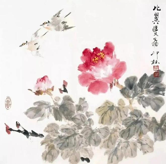萧朗写意富贵牡丹，清新明快！ 名人名家 第50张
