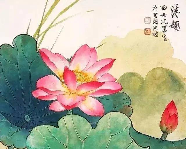 花鸟大师田世光画荷，太漂亮啦！ 名人名家 第3张