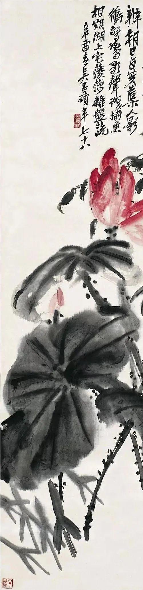 吴昌硕：画荷最忌呆黑 名人名家 第23张