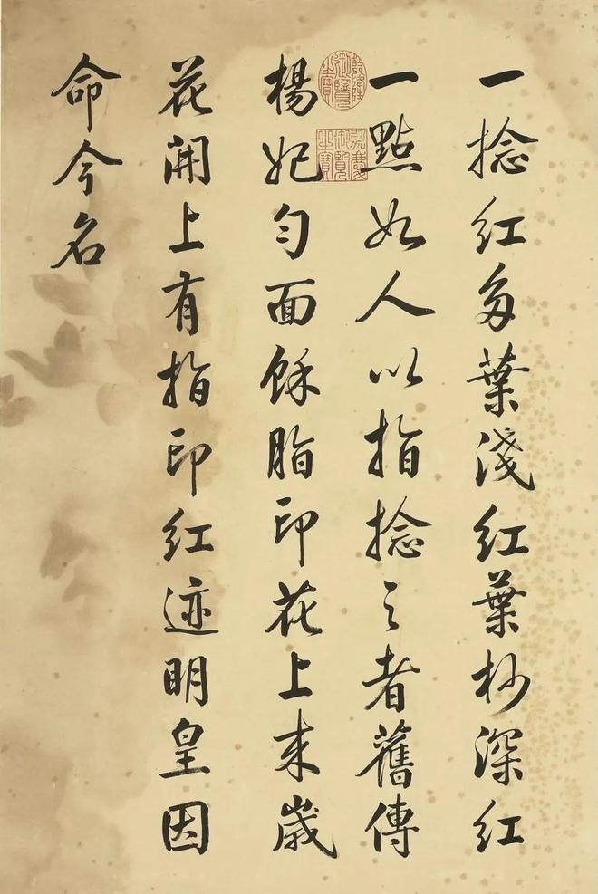 邹一桂：牡丹二十四品 名人名家 第47张