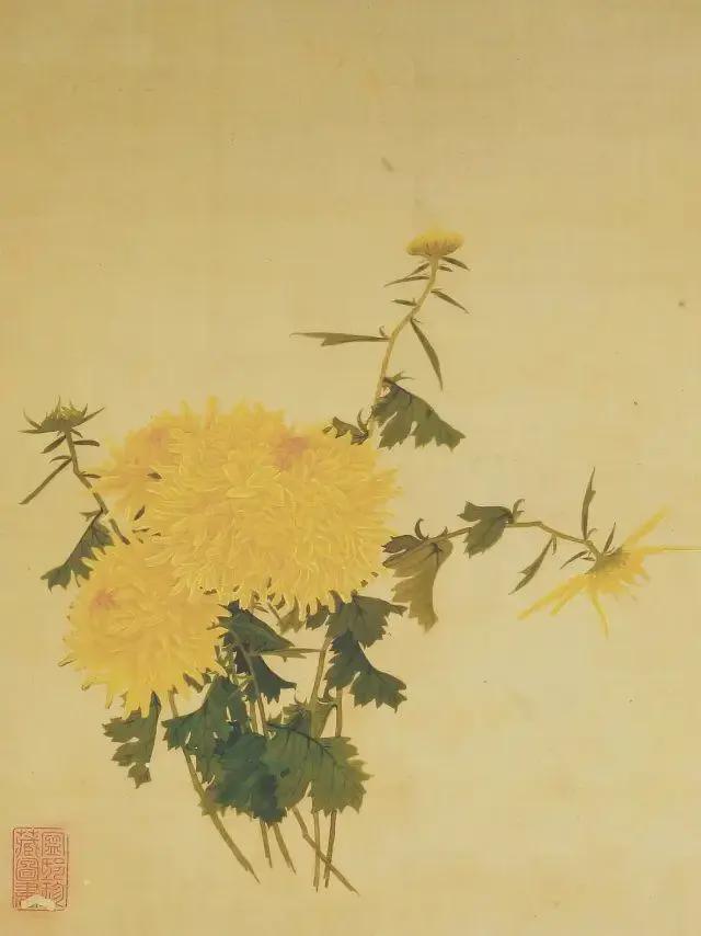 王延格：彩绘菊谱图册 名人名家 第37张