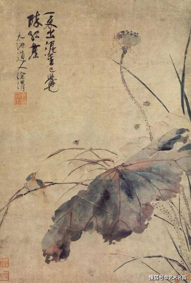 徐渭狂草写荷，一道旷世的风景 名人名家 第1张