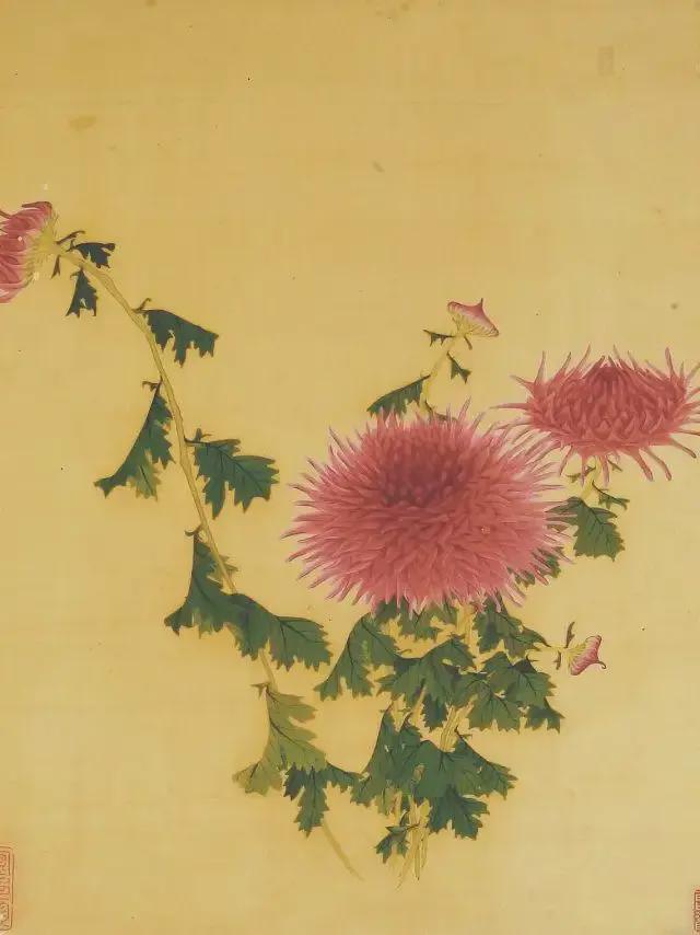 王延格：彩绘菊谱图册 名人名家 第34张