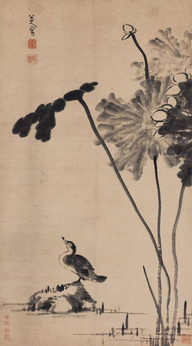 八大山人花鸟：面貌独特，笔墨取胜！ 名人名家 第30张