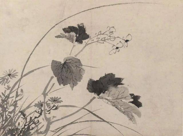 陈淳花鸟画：畅情抒意、恣肆豪放 名人名家 第7张