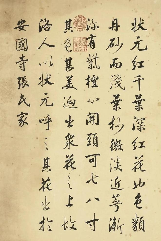 邹一桂：牡丹二十四品 名人名家 第20张