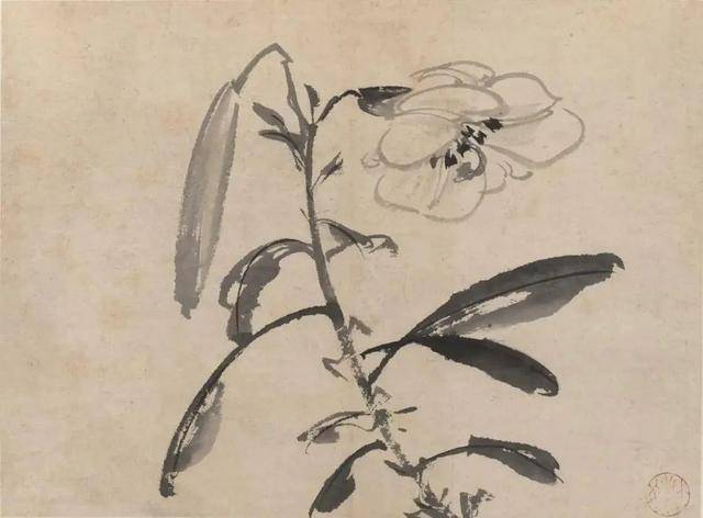 陈淳花鸟画：畅情抒意、恣肆豪放 名人名家 第4张