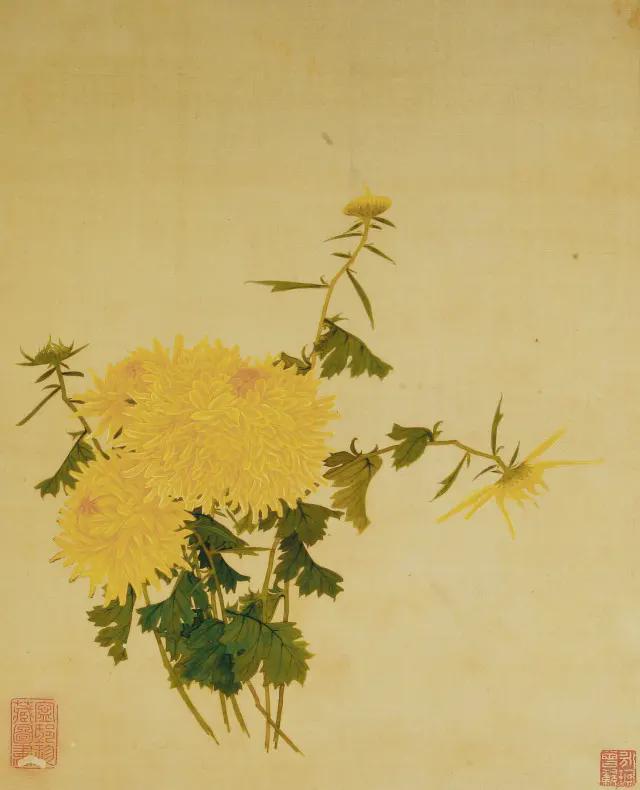 王延格：彩绘菊谱图册 名人名家 第17张