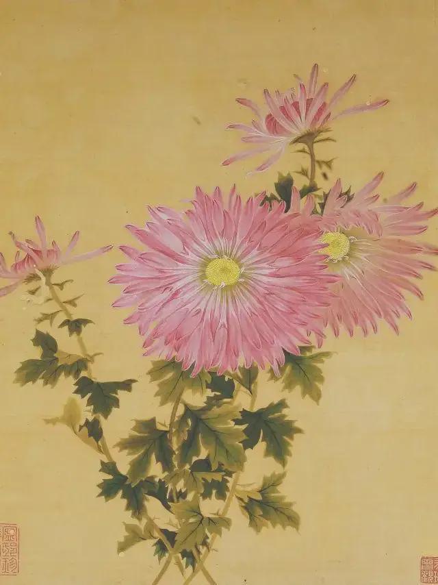 王延格：彩绘菊谱图册 名人名家 第35张