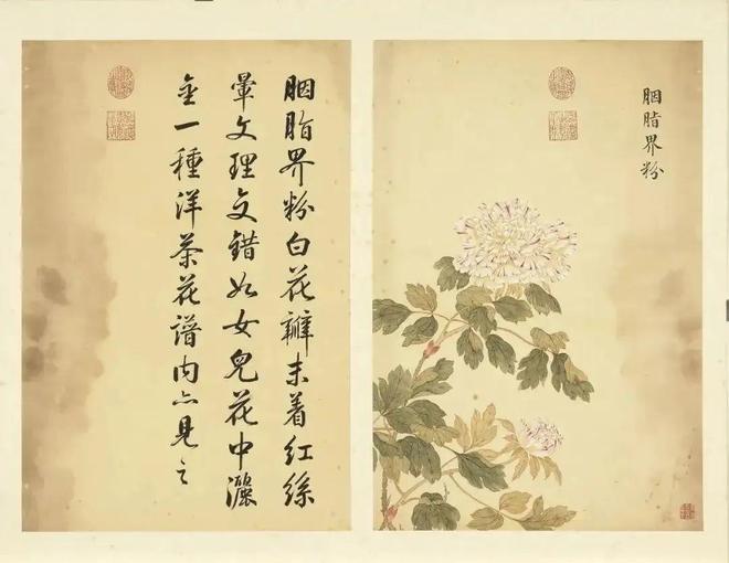 邹一桂：牡丹二十四品 名人名家 第64张
