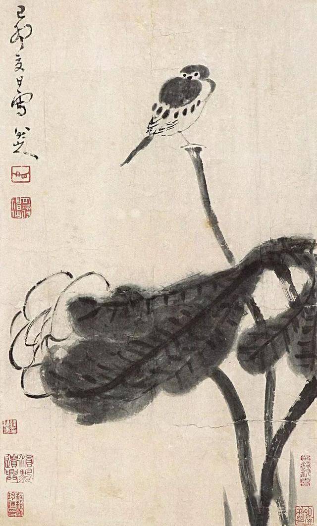 八大山人花鸟：面貌独特，笔墨取胜！ 名人名家 第5张