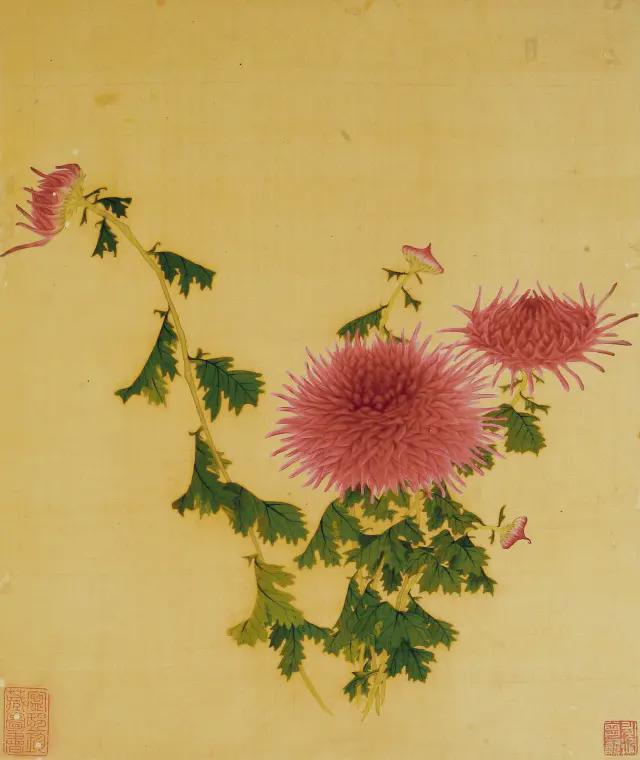 王延格：彩绘菊谱图册 名人名家 第19张