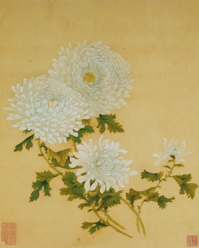 王延格：彩绘菊谱图册 名人名家 第5张