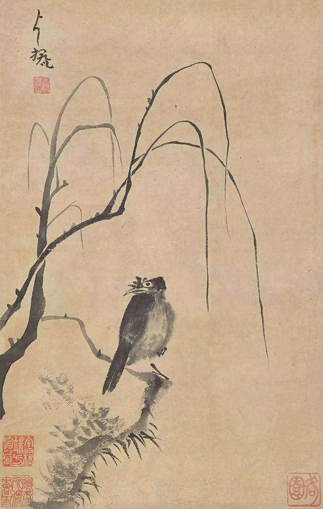 八大山人花鸟：面貌独特，笔墨取胜！ 名人名家 第19张