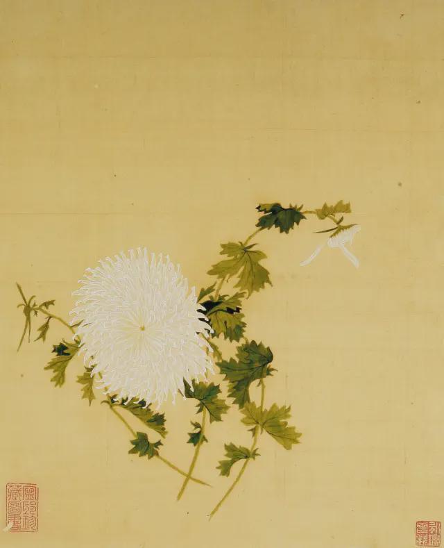 王延格：彩绘菊谱图册 名人名家 第9张