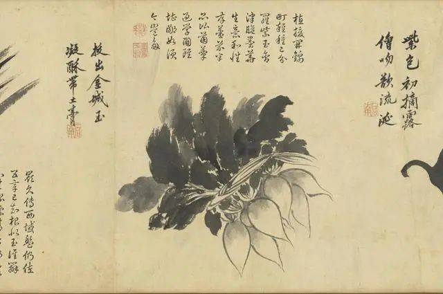 沈周：笔参造化，写生卷中见真章 名人名家 第11张