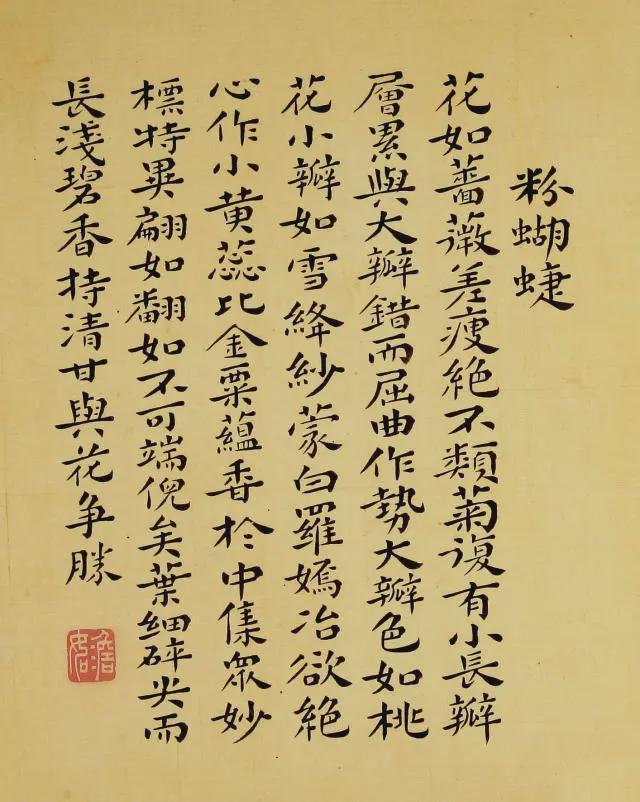 王延格：彩绘菊谱图册 名人名家 第22张