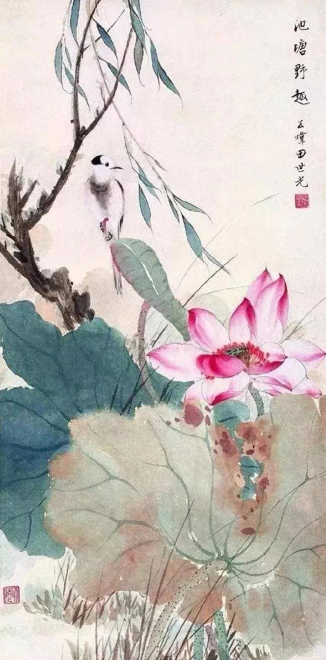 花鸟大师田世光画荷，太漂亮啦！ 名人名家 第10张