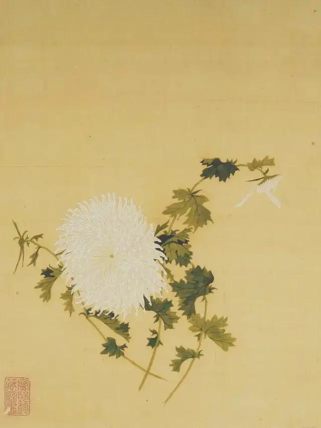 王延格：彩绘菊谱图册 名人名家 第42张