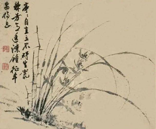 陈淳花鸟画：畅情抒意、恣肆豪放 名人名家 第1张