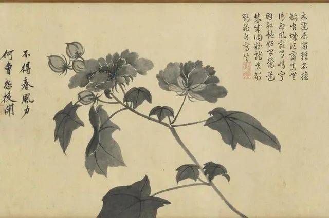 沈周：笔参造化，写生卷中见真章 名人名家 第4张