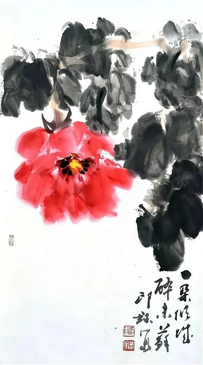 萧朗写意富贵牡丹，清新明快！ 名人名家 第33张