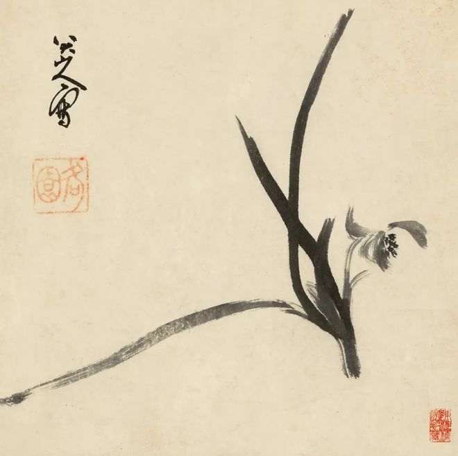 八大山人写兰，凝炼古拙 名人名家 第3张