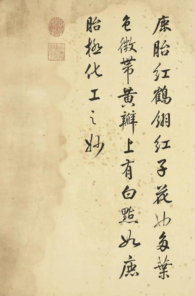 邹一桂：牡丹二十四品 名人名家 第35张