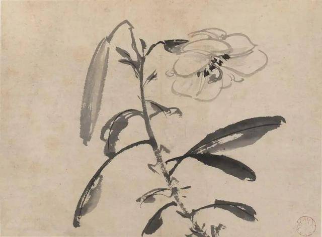 陈淳花鸟画：畅情抒意、恣肆豪放 名人名家 第12张