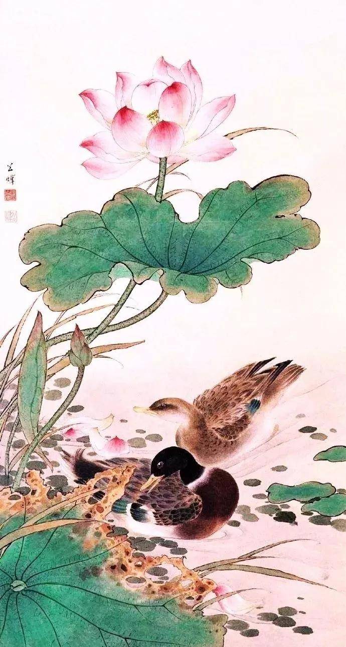 花鸟大师田世光画荷，太漂亮啦！ 名人名家 第4张