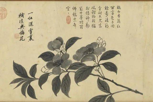 沈周：笔参造化，写生卷中见真章 名人名家 第5张