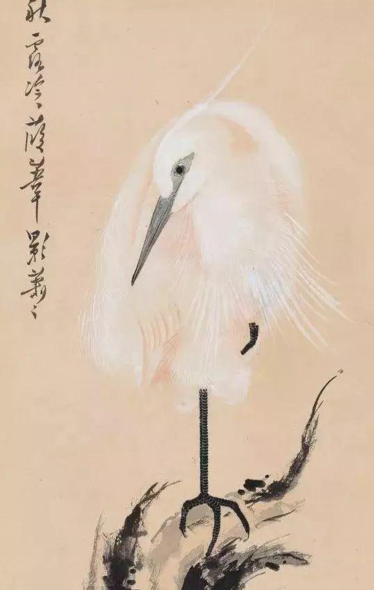 中国花鸟画画家张其翼绘画作品 名人名家 第15张