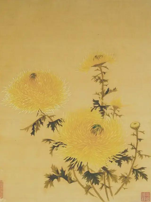 王延格：彩绘菊谱图册 名人名家 第43张