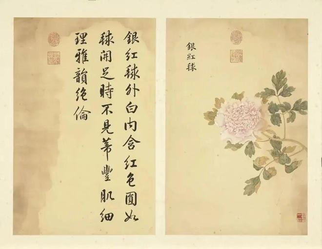 邹一桂：牡丹二十四品 名人名家 第31张