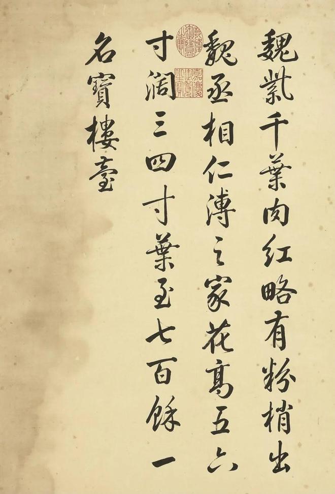邹一桂：牡丹二十四品 名人名家 第5张