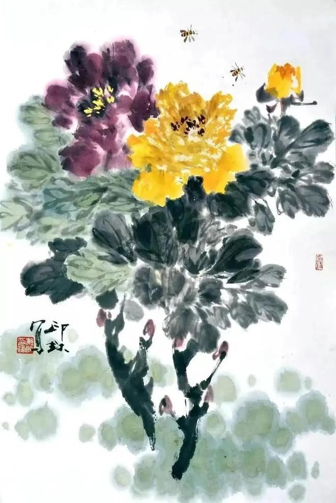 萧朗写意富贵牡丹，清新明快！ 名人名家 第37张