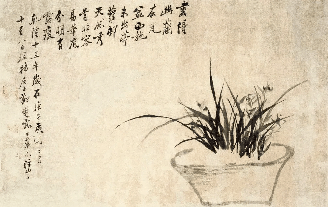 郑板桥画兰，以草书之撇法运之 名人名家 第3张
