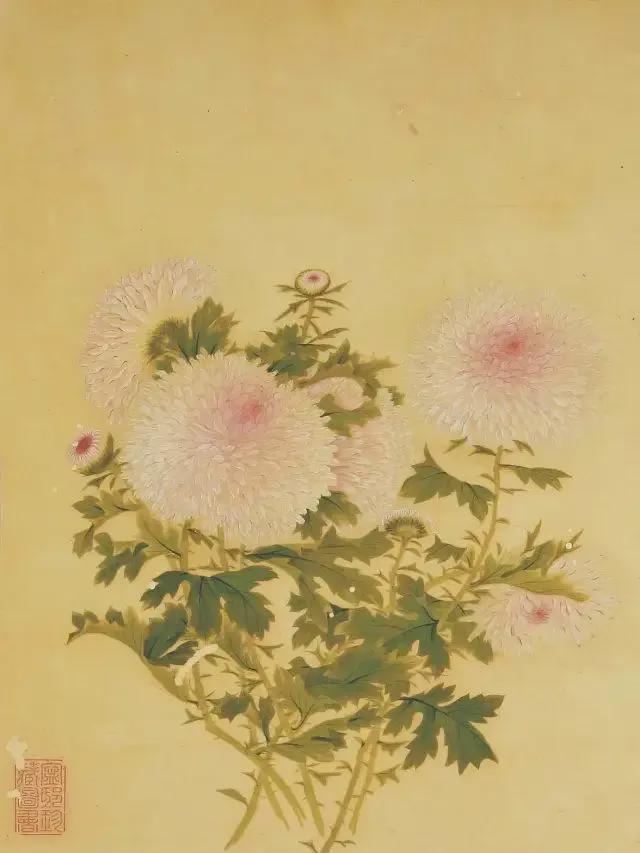 王延格：彩绘菊谱图册 名人名家 第39张