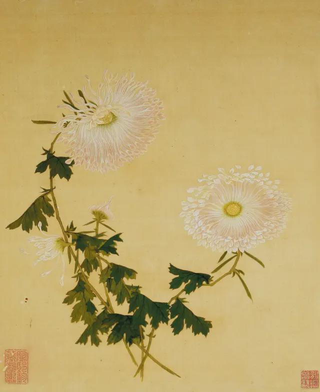 王延格：彩绘菊谱图册 名人名家 第3张