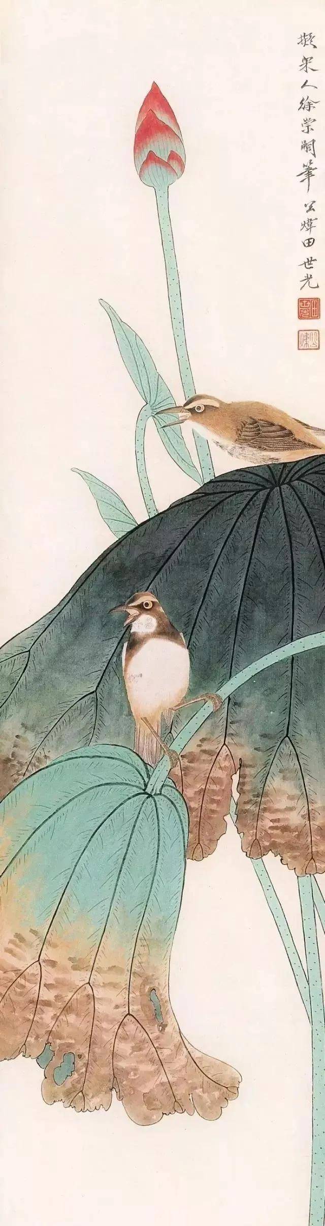 花鸟大师田世光画荷，太漂亮啦！ 名人名家 第5张