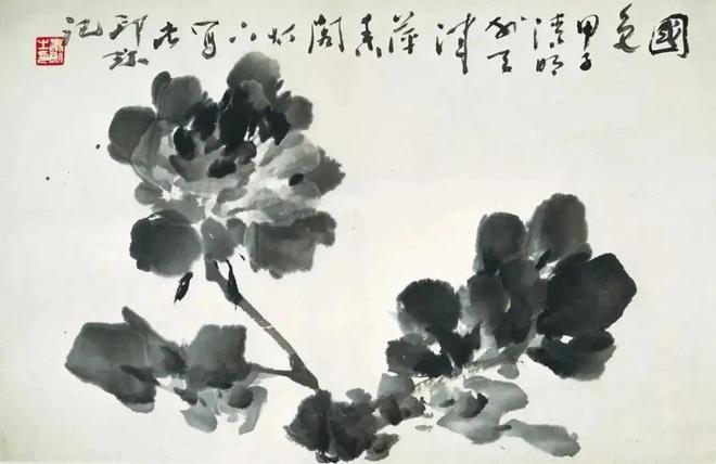 萧朗写意富贵牡丹，清新明快！ 名人名家 第31张