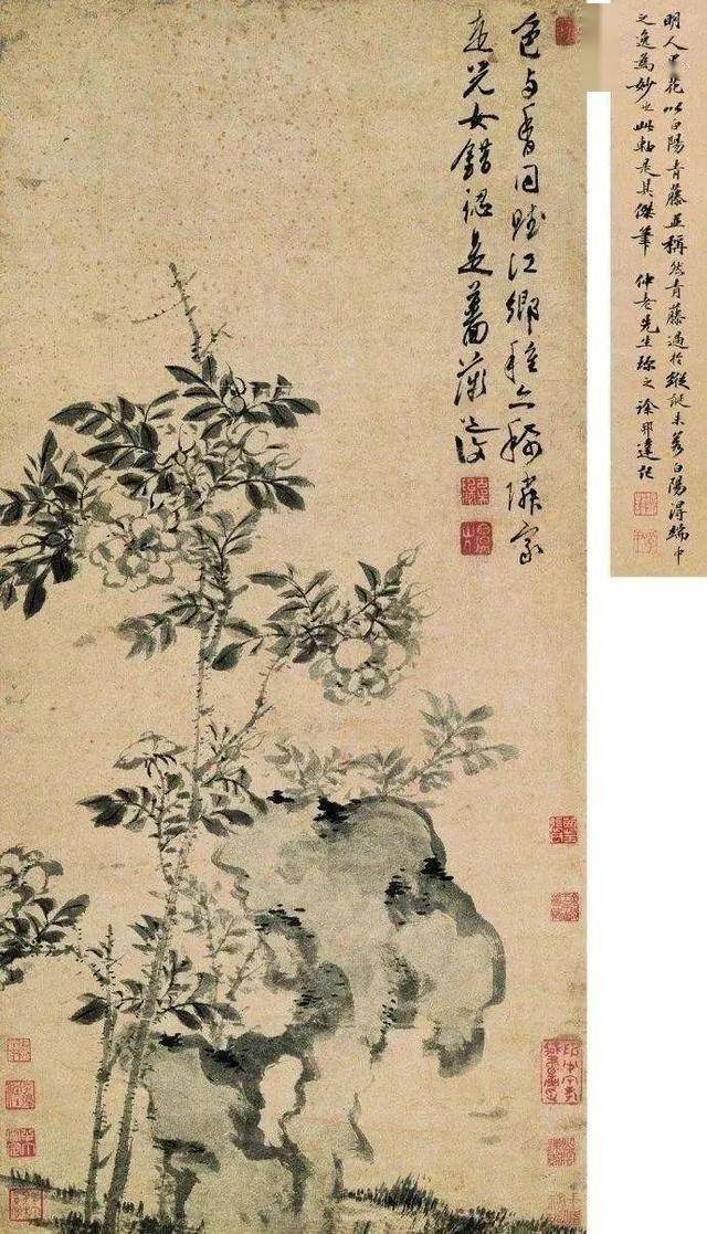 陈淳花鸟画：畅情抒意、恣肆豪放 名人名家 第33张