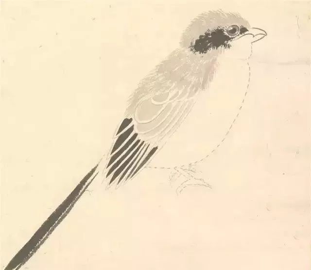 中国花鸟画画家张其翼绘画作品 名人名家 第8张