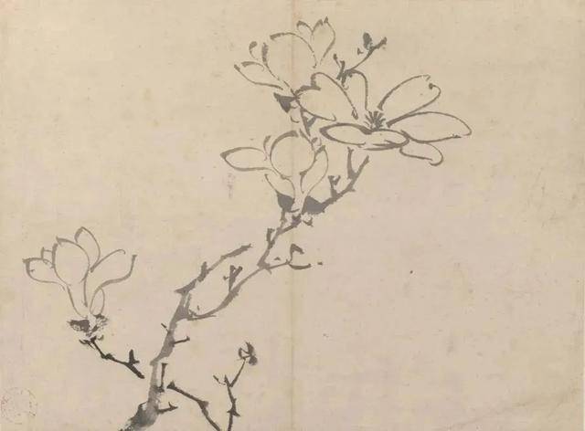 陈淳花鸟画：畅情抒意、恣肆豪放 名人名家 第15张