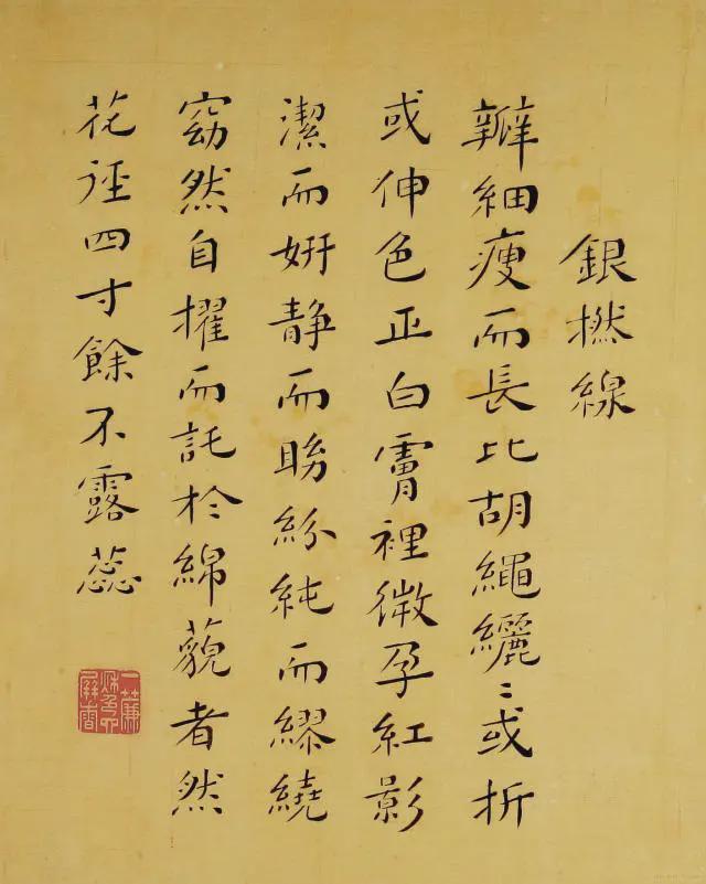 王延格：彩绘菊谱图册 名人名家 第26张